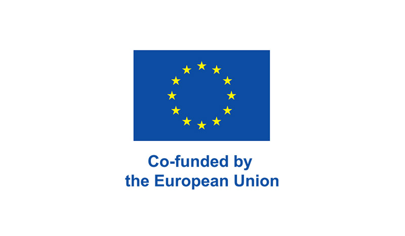 Logo co funded by the european union